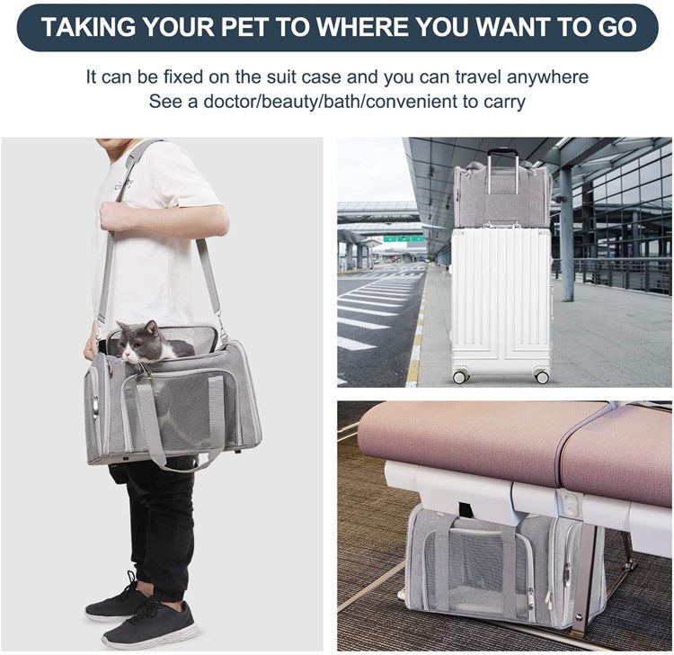 Cat and small dog using the DODOROAM Carryall pet carrier